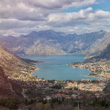 The Nest - Urban Family Place Kotor Ngoại thất bức ảnh