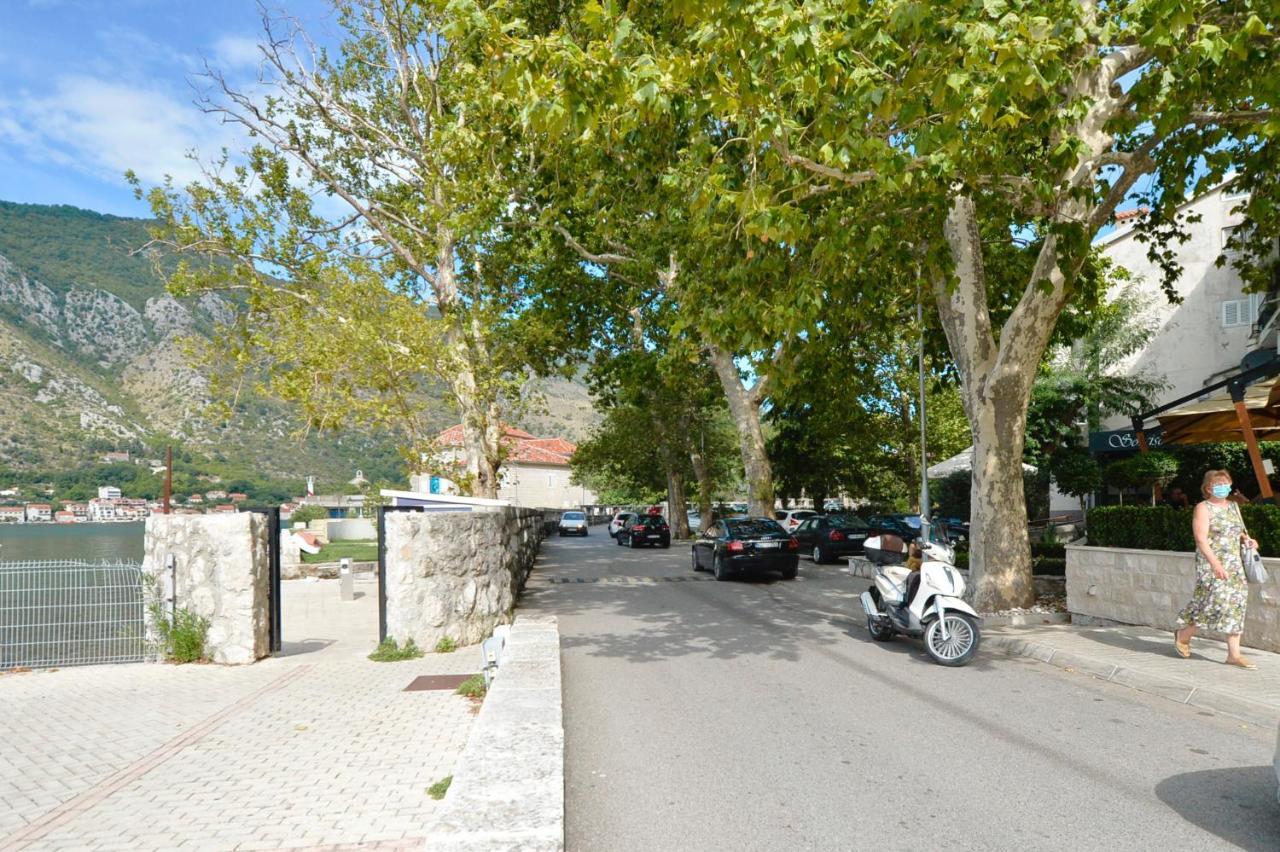 The Nest - Urban Family Place Kotor Ngoại thất bức ảnh